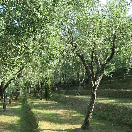 L'arcadia Bed and breakfast Pietrasanta