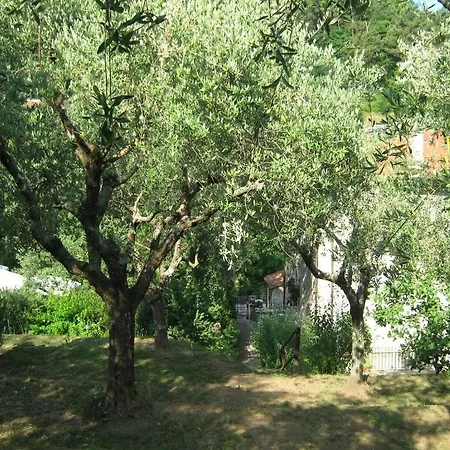 L'arcadia Bed and Breakfast Pietrasanta