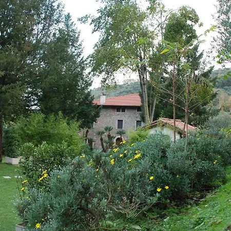 Bed and breakfast L'arcadia Pietrasanta