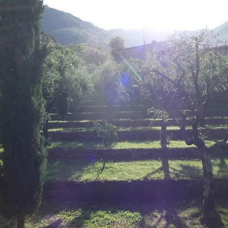 Bed and breakfast L'arcadia 4*